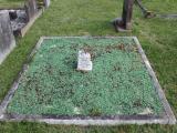 image of grave number 372519